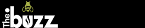 .DOTSTRATEGY CO. Logo